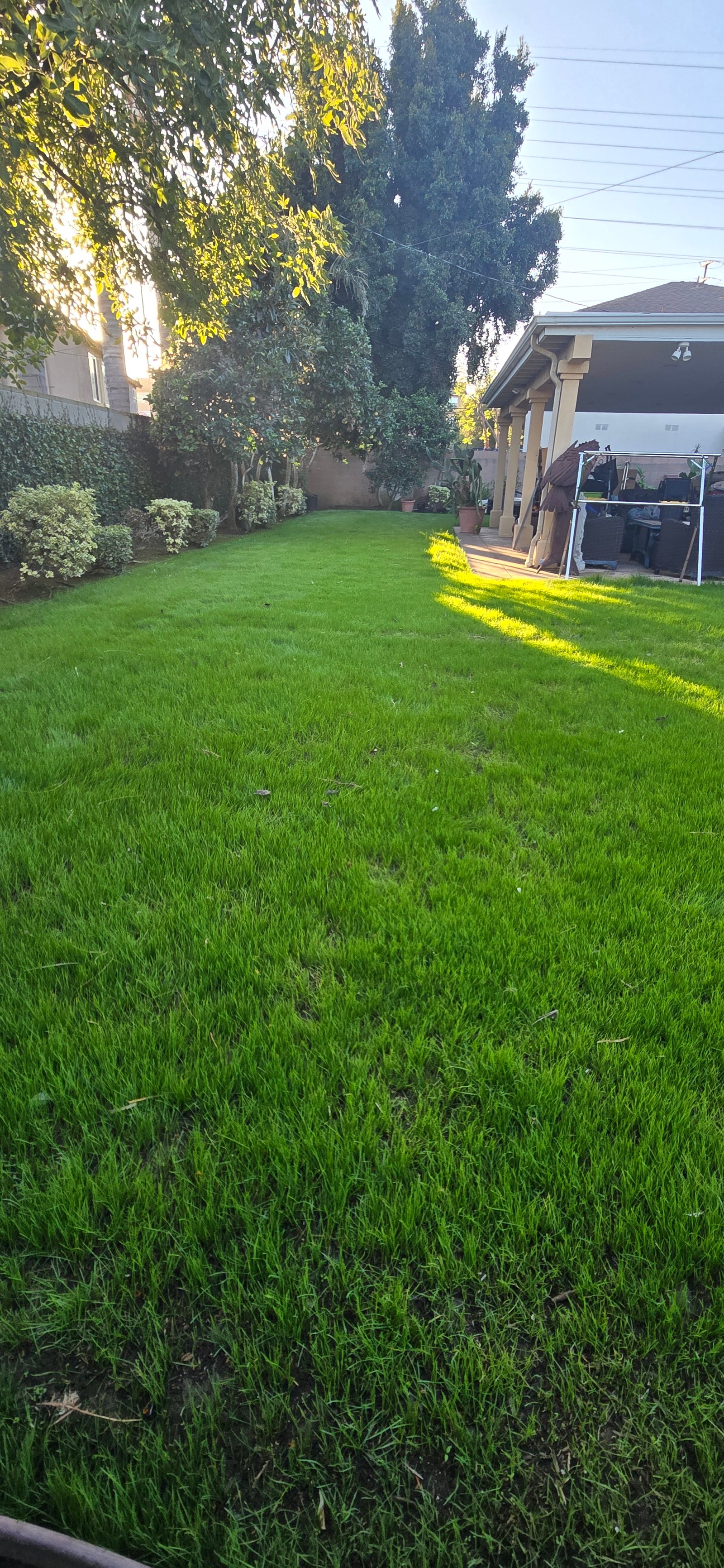 Work sample 6 from Martin lawn maintenance garden 