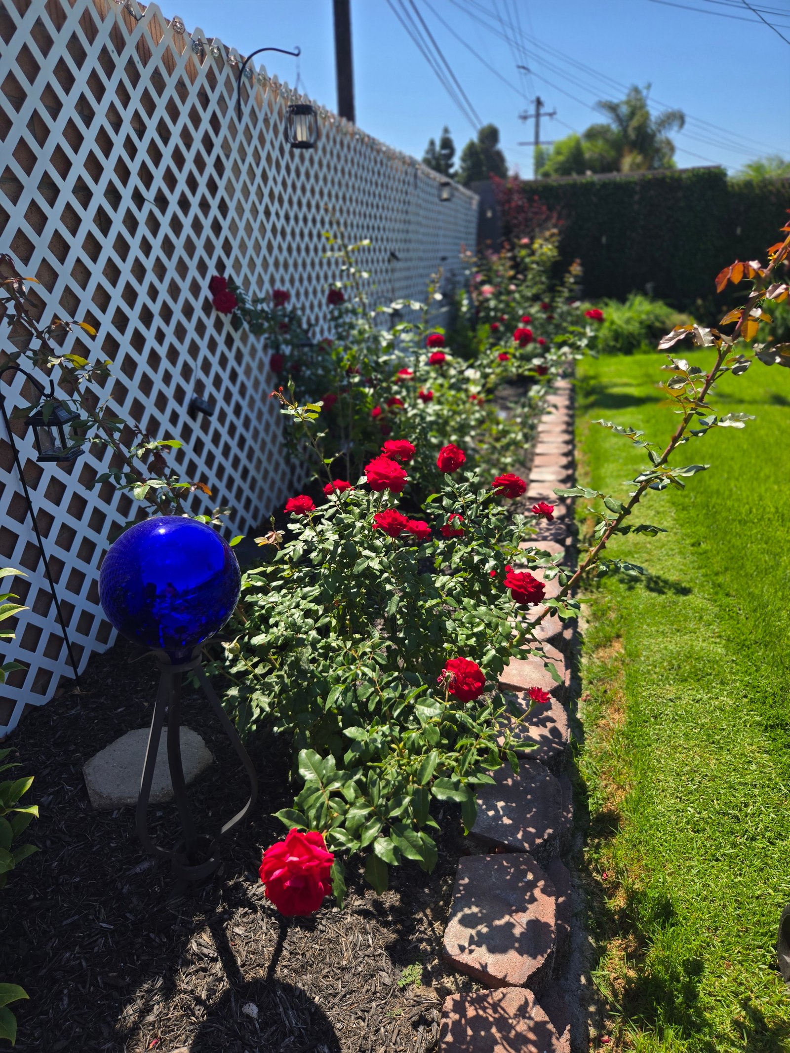 Work sample 7 from Martin lawn maintenance garden 