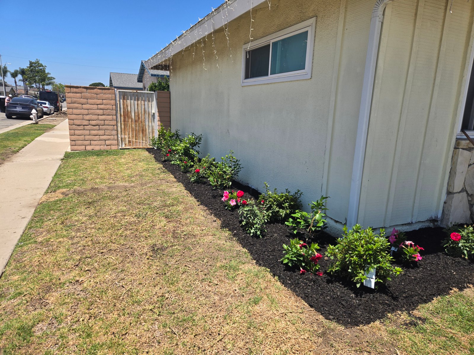 Work sample 8 from Martin lawn maintenance garden 