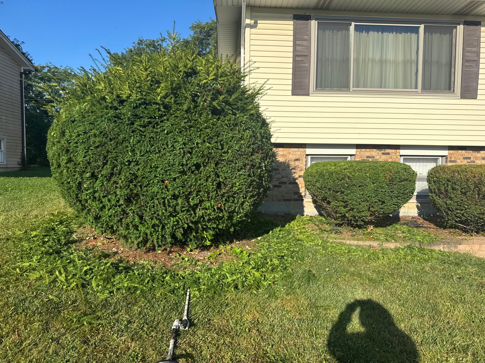 Work sample 1 from Green planet lawn care