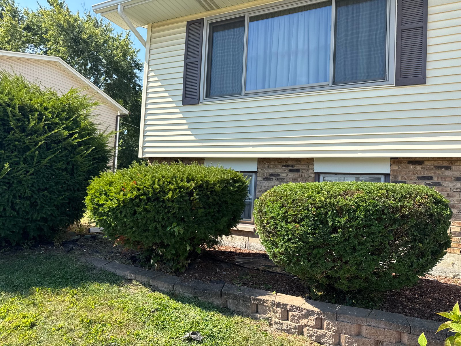 Work sample 2 from Green planet lawn care