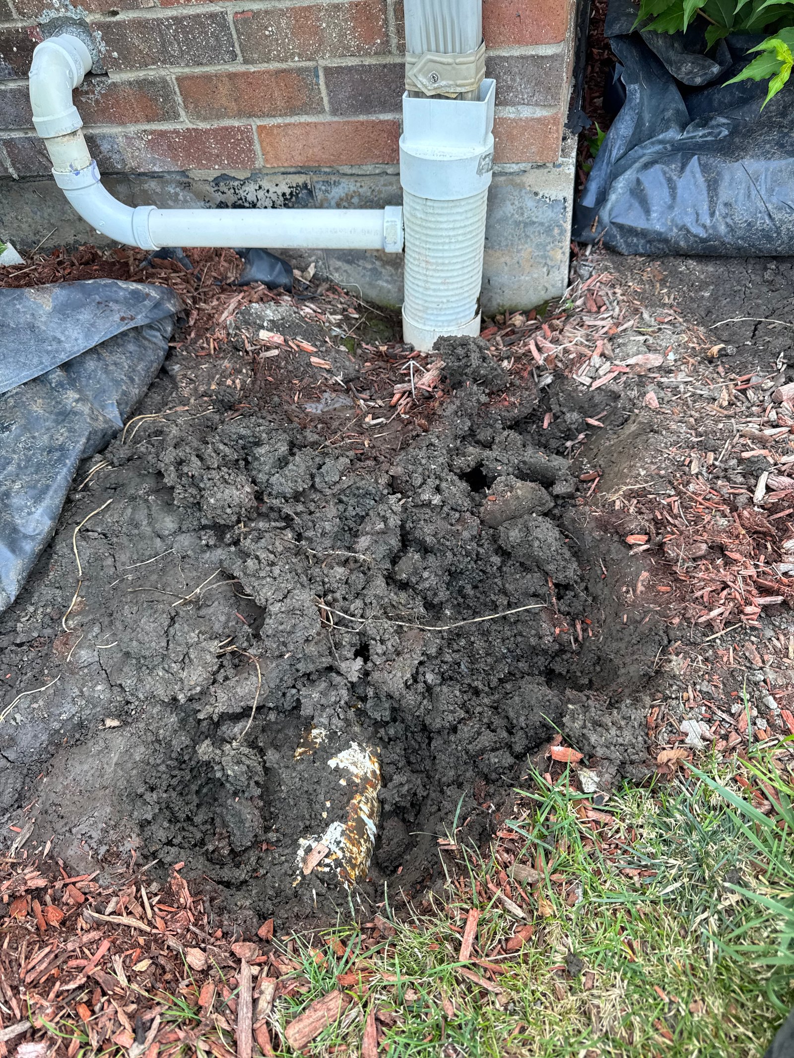 Work sample 4 from Green planet lawn care