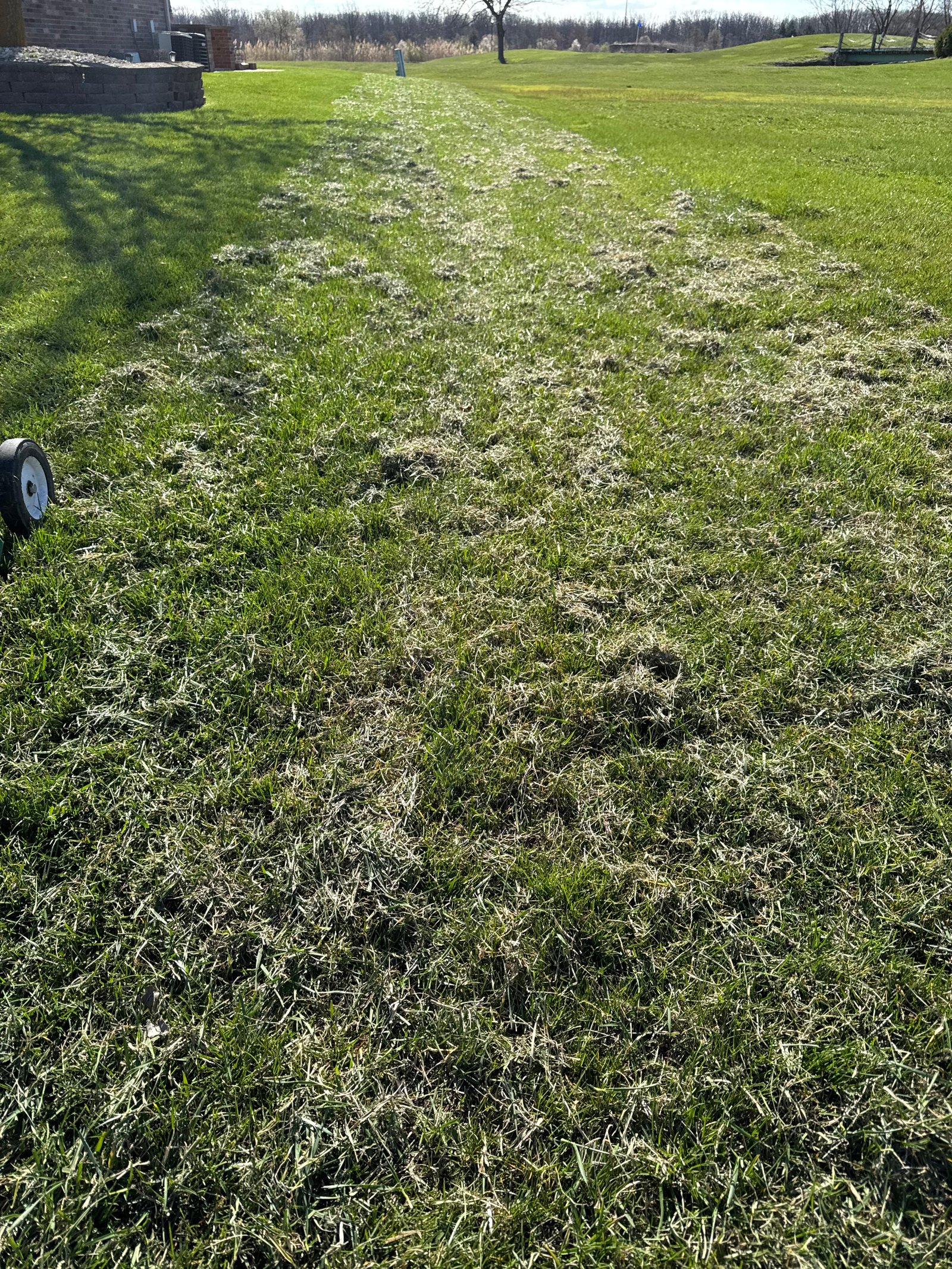 Work sample 6 from Green planet lawn care